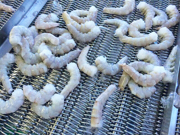 食品網(wǎng)帶應(yīng)用案例